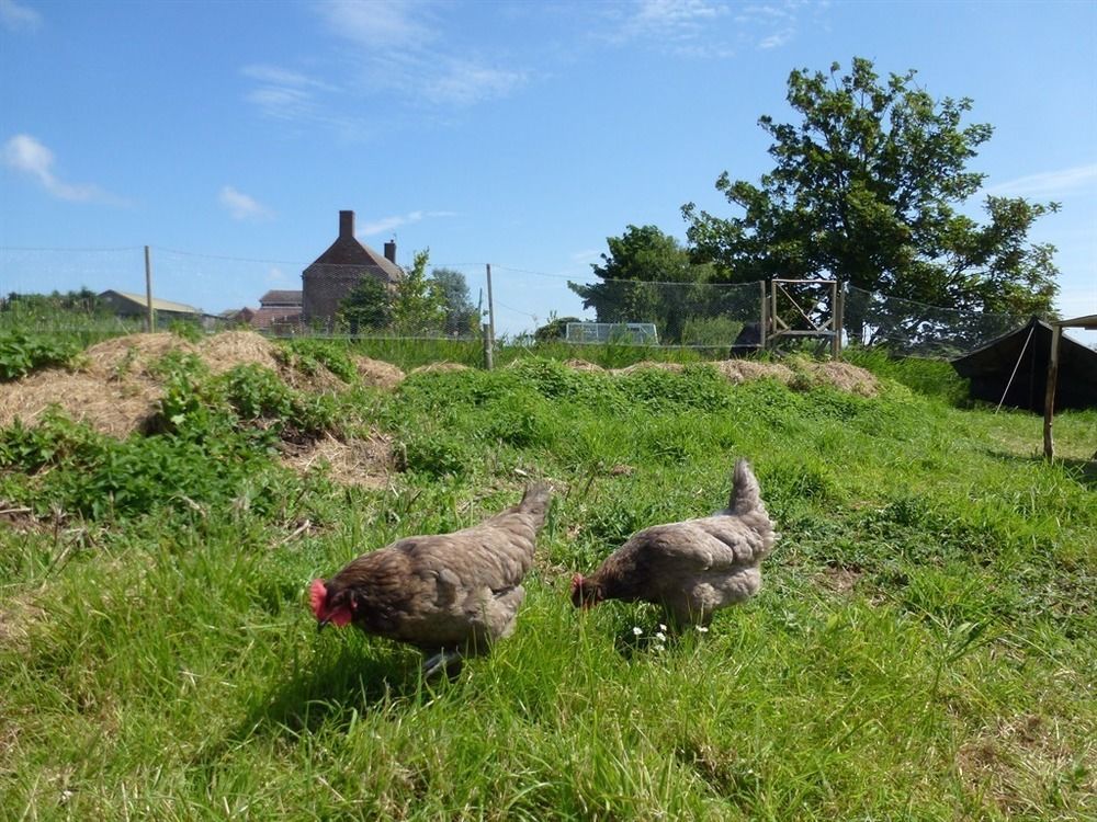 Manor Farm Stay Sutton-on-Sea Exterior photo